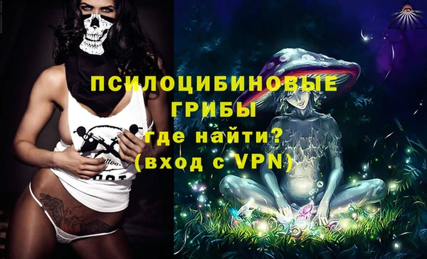 молекула духа Аркадак