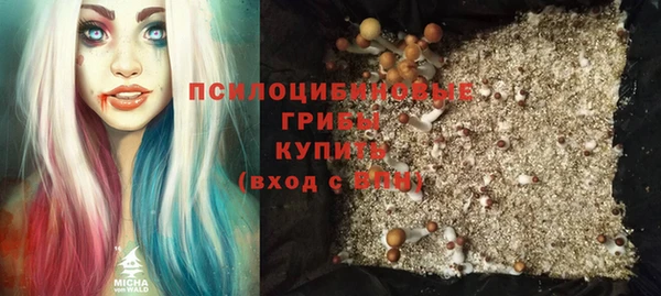 PSILOCYBIN Арсеньев