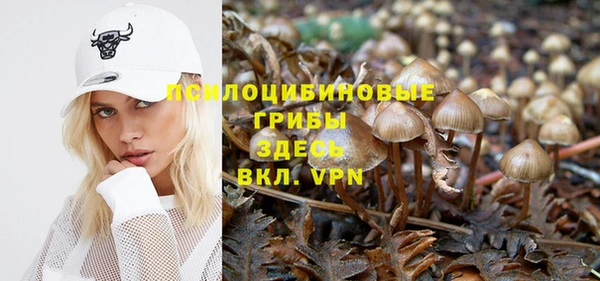 молекула духа Аркадак