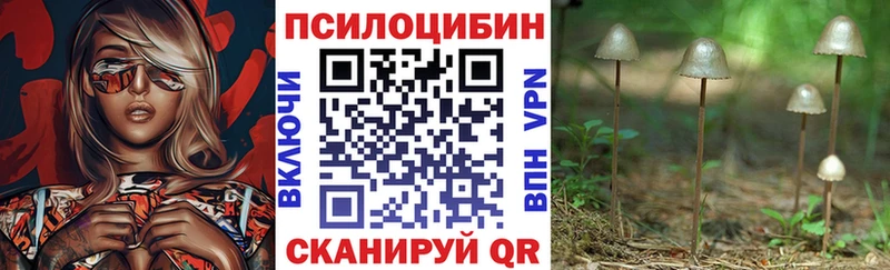 купить наркотик  Тара  Псилоцибиновые грибы MAGIC MUSHROOMS 